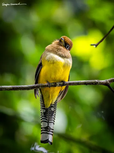 Costa Rica